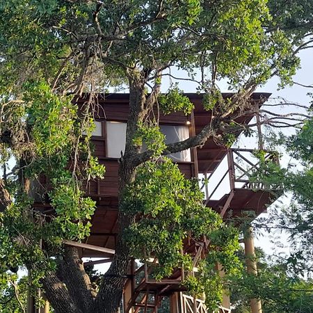 Leopard Nest - Glamping In Yala酒店 外观 照片