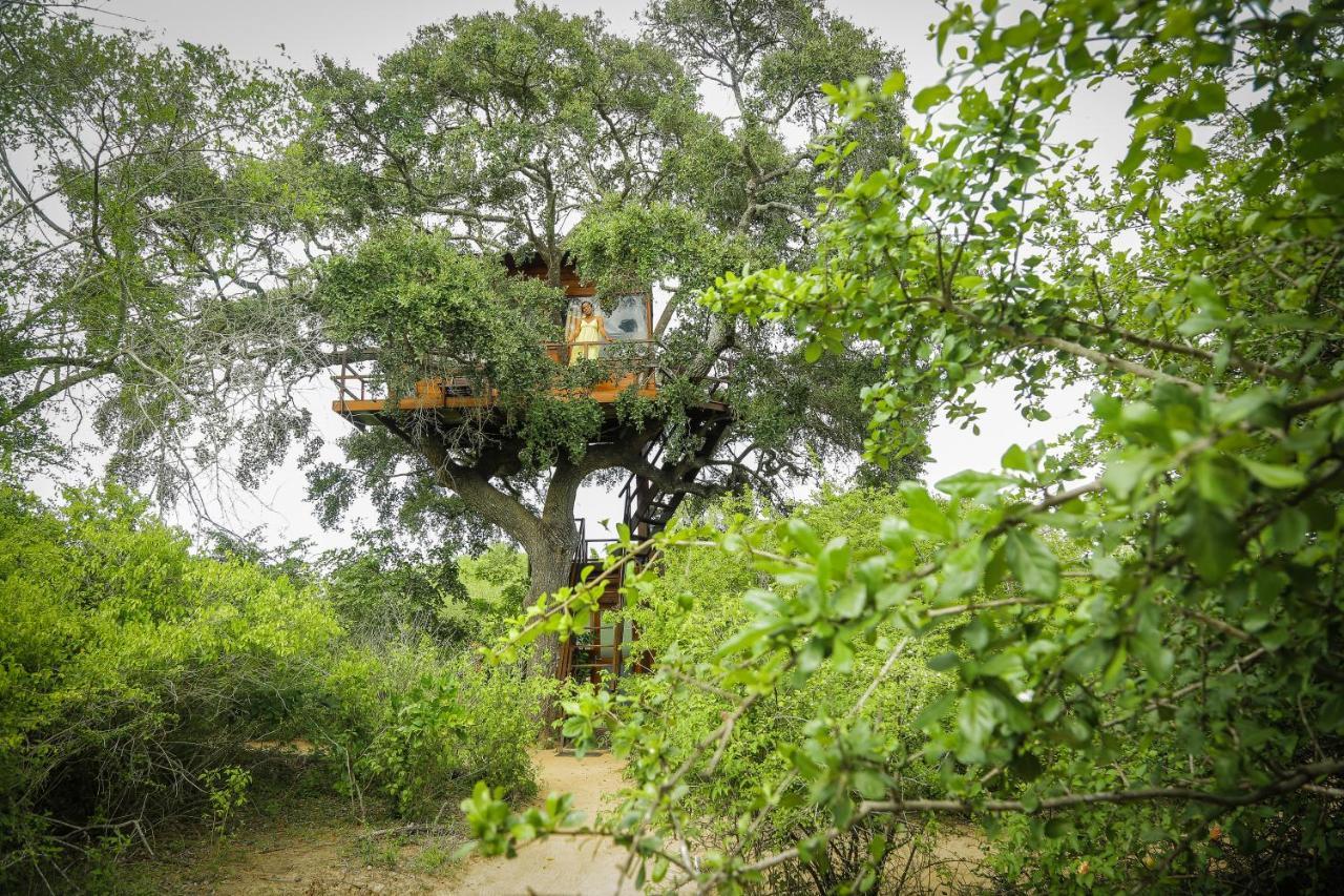 Leopard Nest - Glamping In Yala酒店 外观 照片
