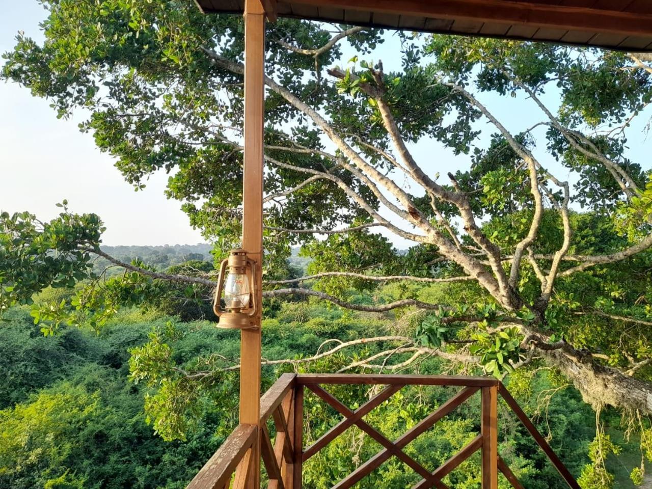 Leopard Nest - Glamping In Yala酒店 外观 照片