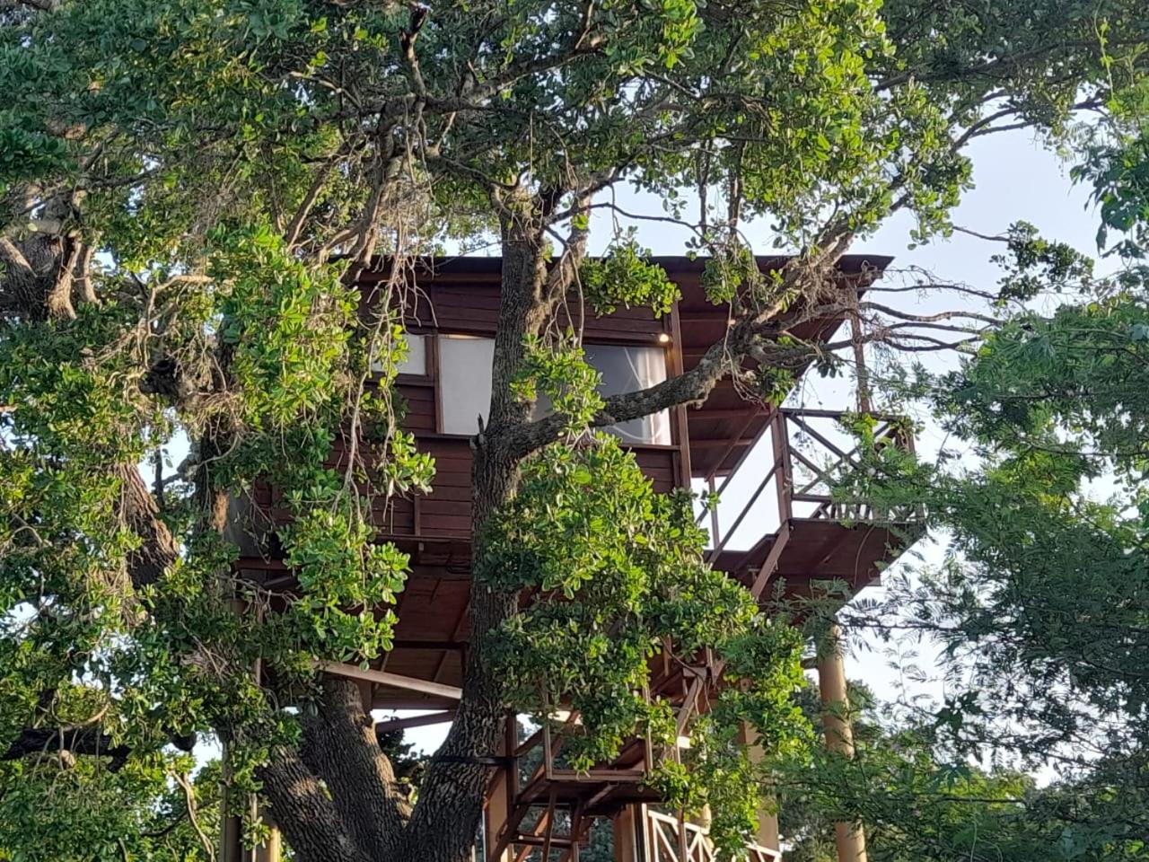 Leopard Nest - Glamping In Yala酒店 外观 照片