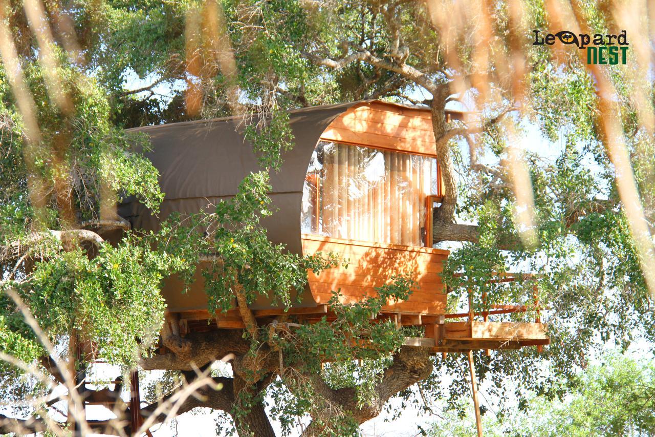 Leopard Nest - Glamping In Yala酒店 外观 照片