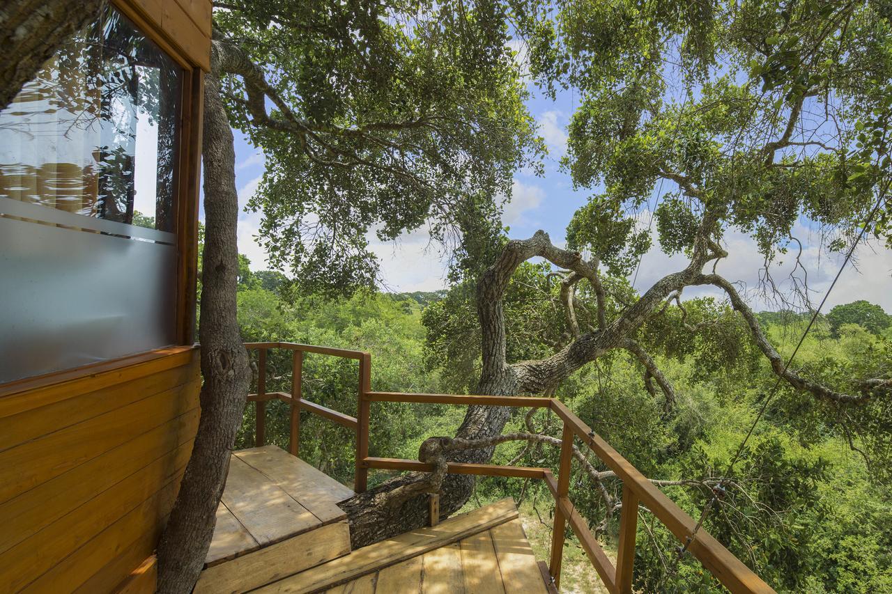 Leopard Nest - Glamping In Yala酒店 外观 照片